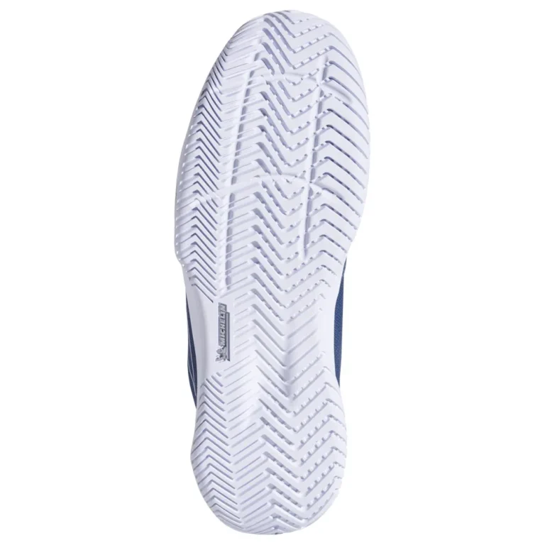 ZAPATILLA BABOLAT SFX EVO GRIS (new) - imagen 2