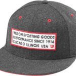 81Z3AAWuhDL._AC_SL1500_